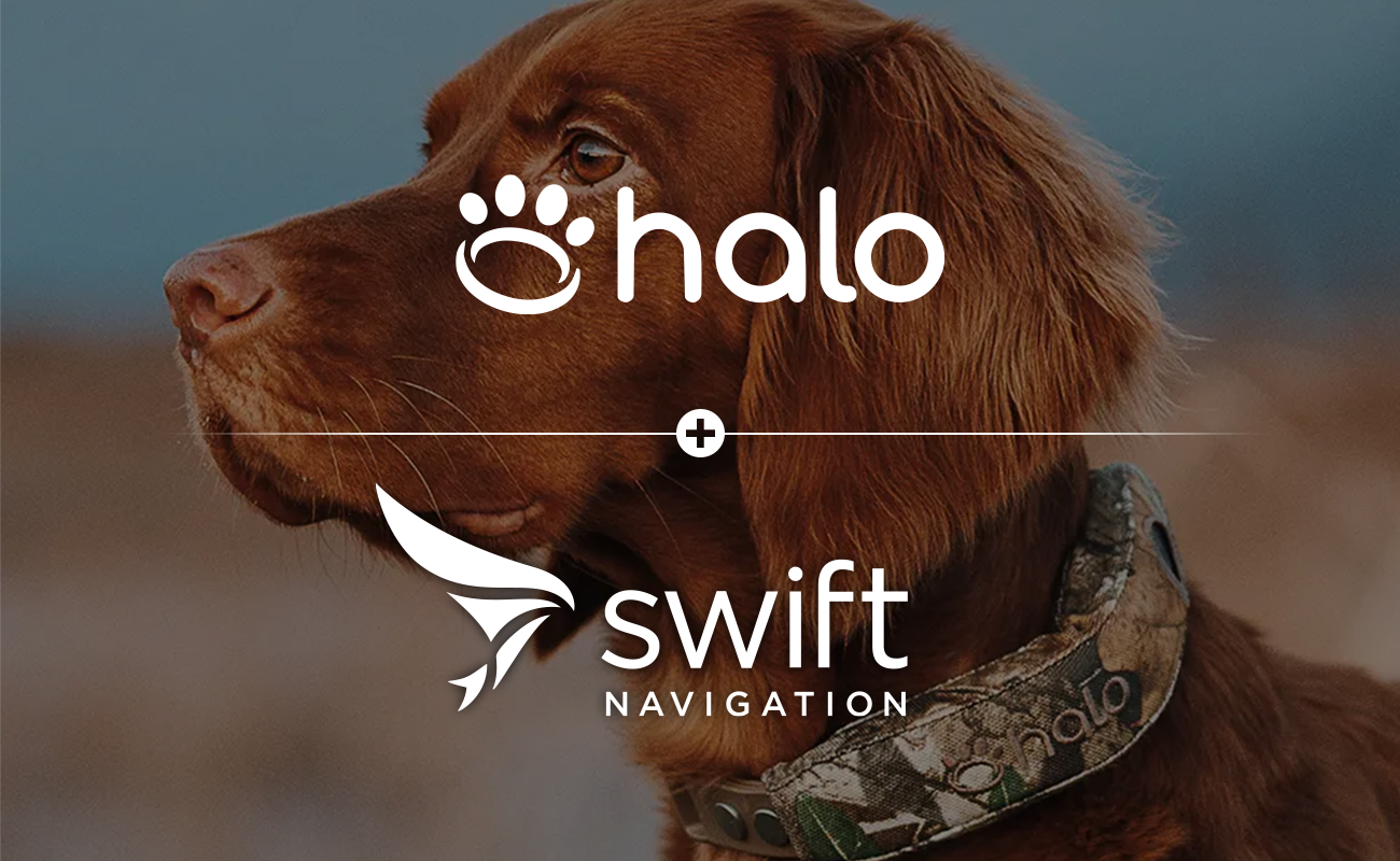 CaseStudy-HaloCollar